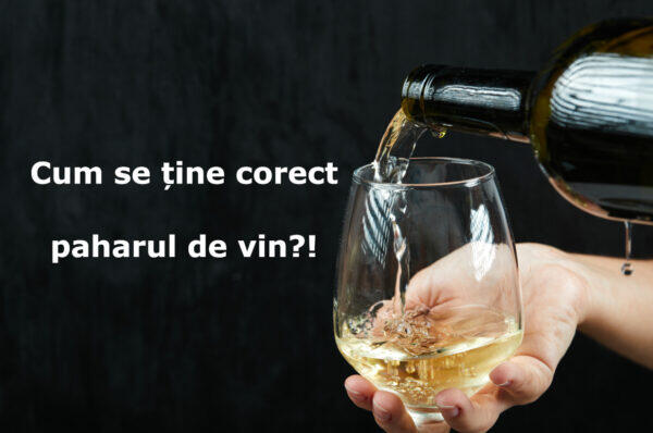 Invata cum se tine corect paharul de vin! VIDEO!