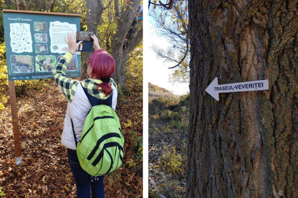 FOTO. Clujenii pot vizita ”Traseul Veveritei”,  o poteca tematica de 4 km amenajata in Faget