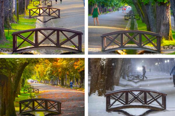 FOTO. Cadre din Parcul Central in 4 anotimpuri diferite!