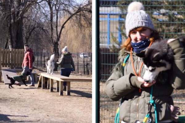 VIDEO. Cum arata locul de joaca pentru caini amenajat in cartierul Grigorescu