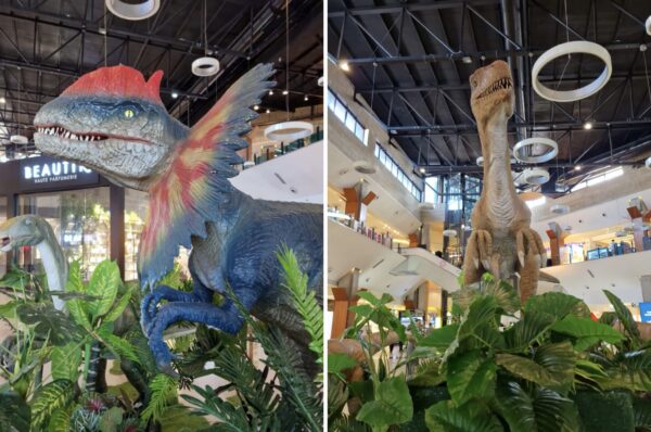 Expozitie impresionanta cu dinozauri de 13 metri lungime la un Mall din Cluj! Pana cand se poate vedea