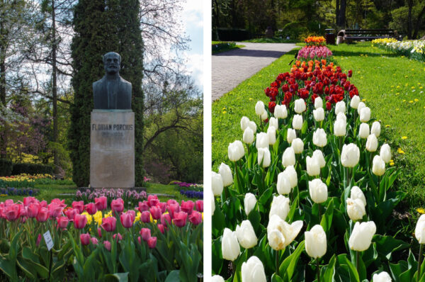 Grădina Botanică din Cluj a fost vizitată de un număr RECORD de oameni în anul 2023.