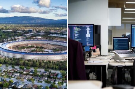 O firma de IT din Cluj trece la un nou nivel. Deschide birouri in Silicon Valley