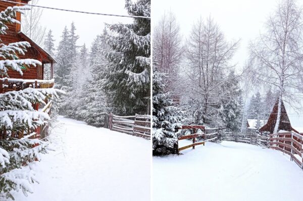 Iarna revine in Statiunea Muntele Baisorii din Cluj. Brazi incarcati cu zapada. GALERIE FOTO