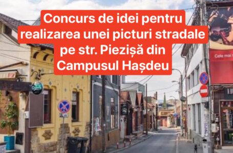 Concurs de idei pentru realizarea unei picturi stradale pe str. Piezișă din Campusul Hașdeu
