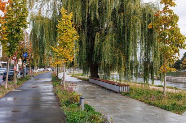 ReThinking Someș – proiectul pentru reabilitarea și modernizarea malurilor Someșului intră în faza de recepție în luna noiembrie.