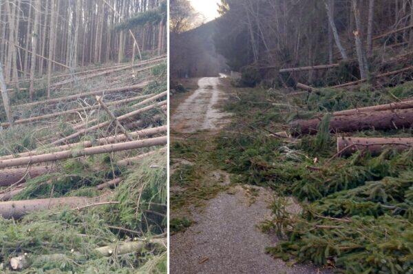 Intervenție de urgență de Crăciun în sectorul drumului Margau-Rachitele.