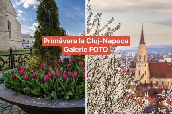 E fain la Cluj! Galerie foto cu primăvara la Cluj-Napoca.